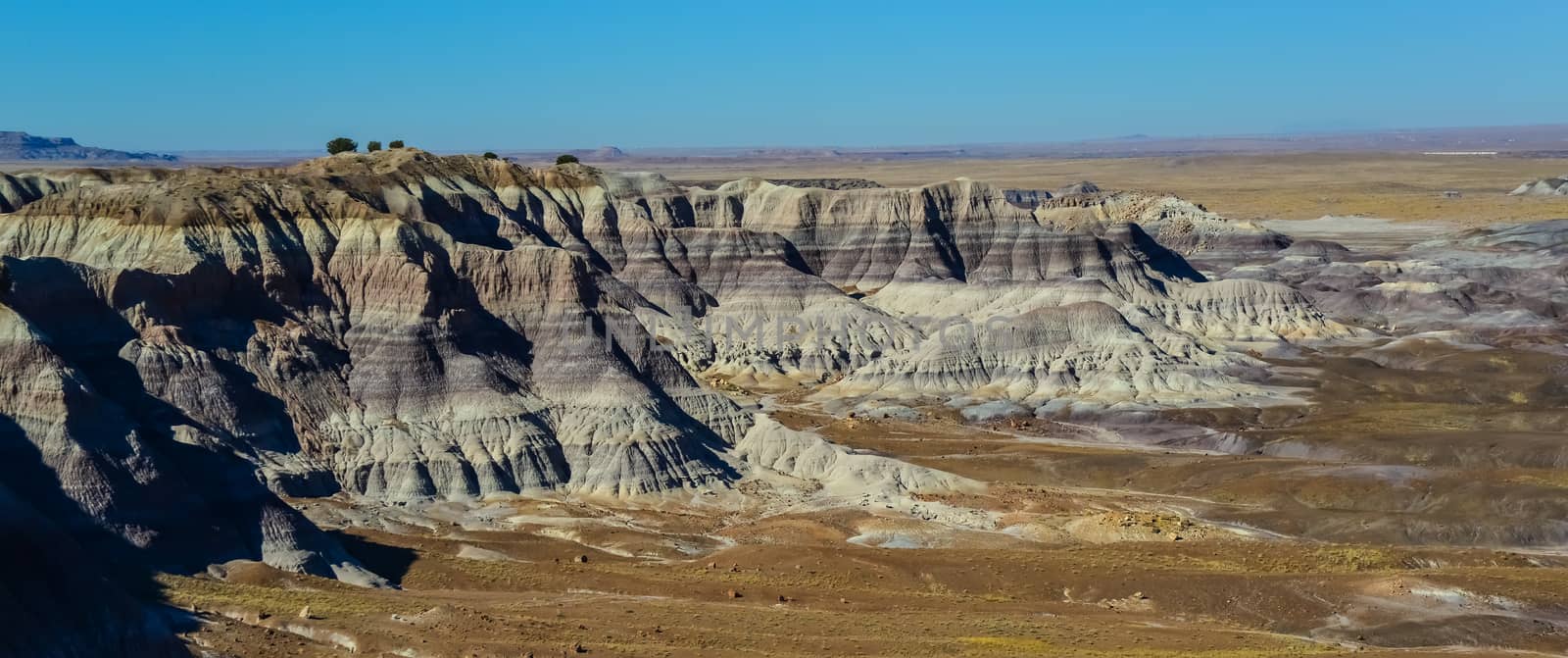 The Painted Desert on a sunny day. Diverse sedimentary rocks and clay washed out by water. Petrified Forest National Park, USA,  Arizona