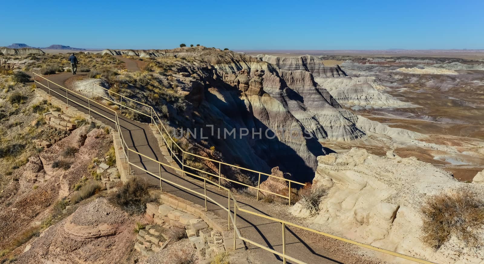 The Painted Desert on a sunny day. Diverse sedimentary rocks and clay washed out by water. Petrified Forest National Park, USA,  Arizona