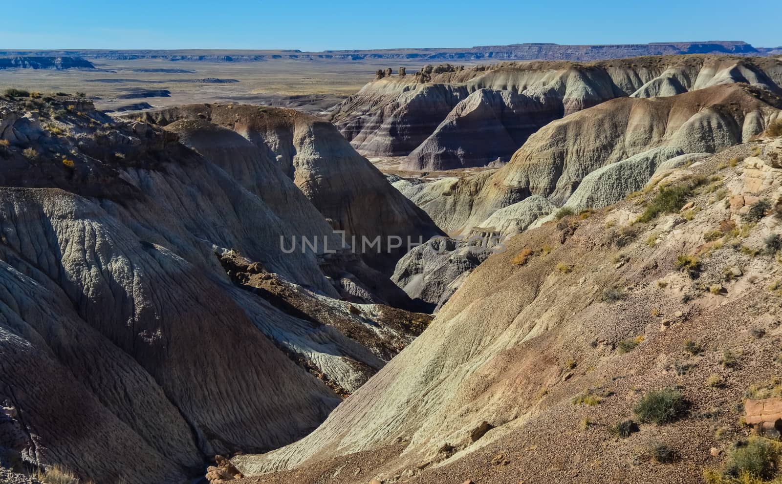 The Painted Desert on a sunny day. Diverse sedimentary rocks and clay washed out by water. Petrified Forest National Park, USA,  Arizona