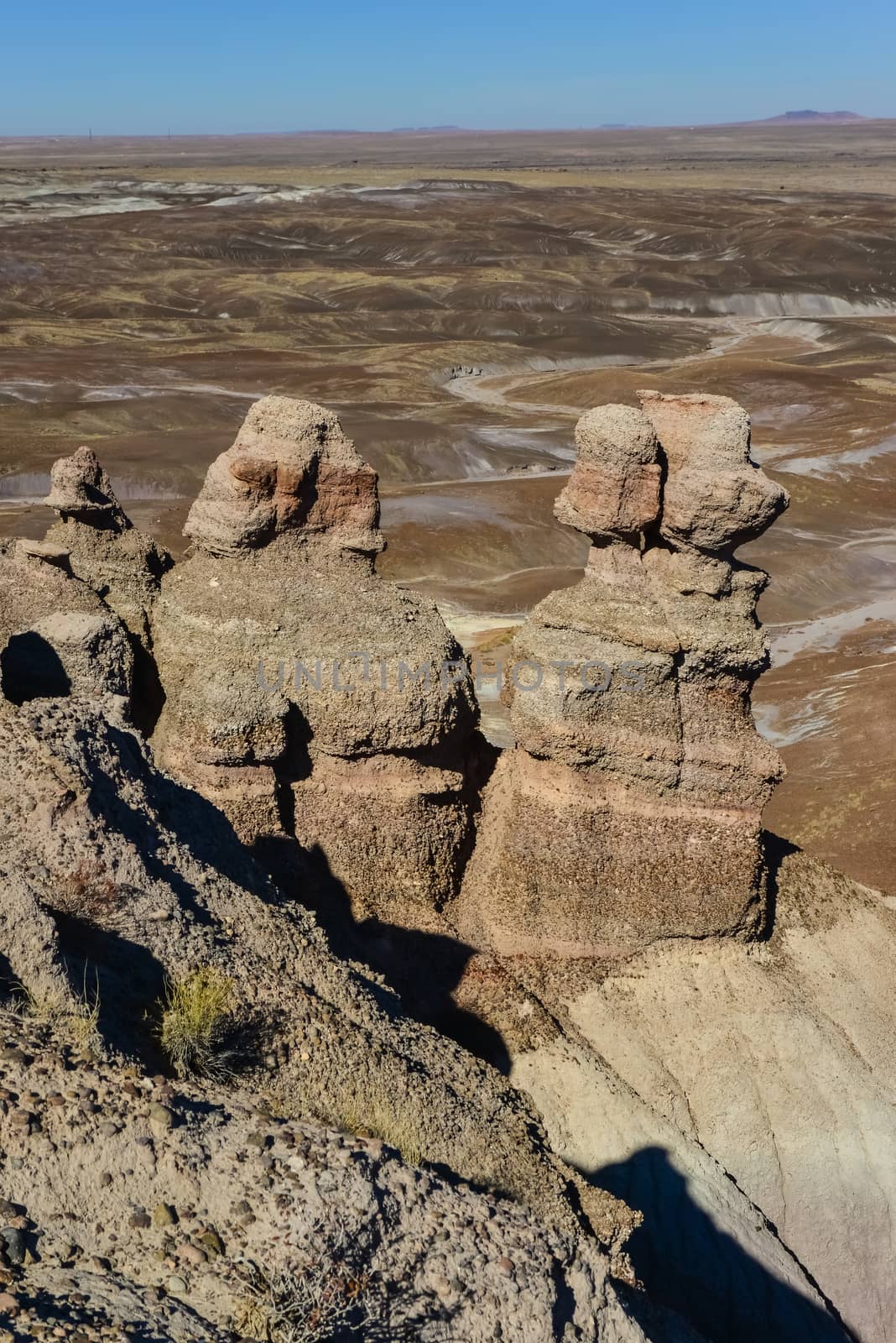 The Painted Desert on a sunny day. Diverse sedimentary rocks and clay washed out by water. Petrified Forest National Park, USA,  Arizona