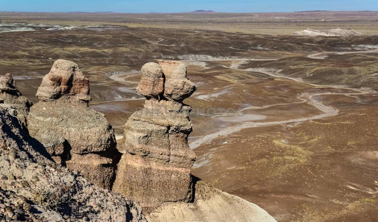 The Painted Desert on a sunny day. Diverse sedimentary rocks and clay washed out by water. Petrified Forest National Park, USA,  Arizona