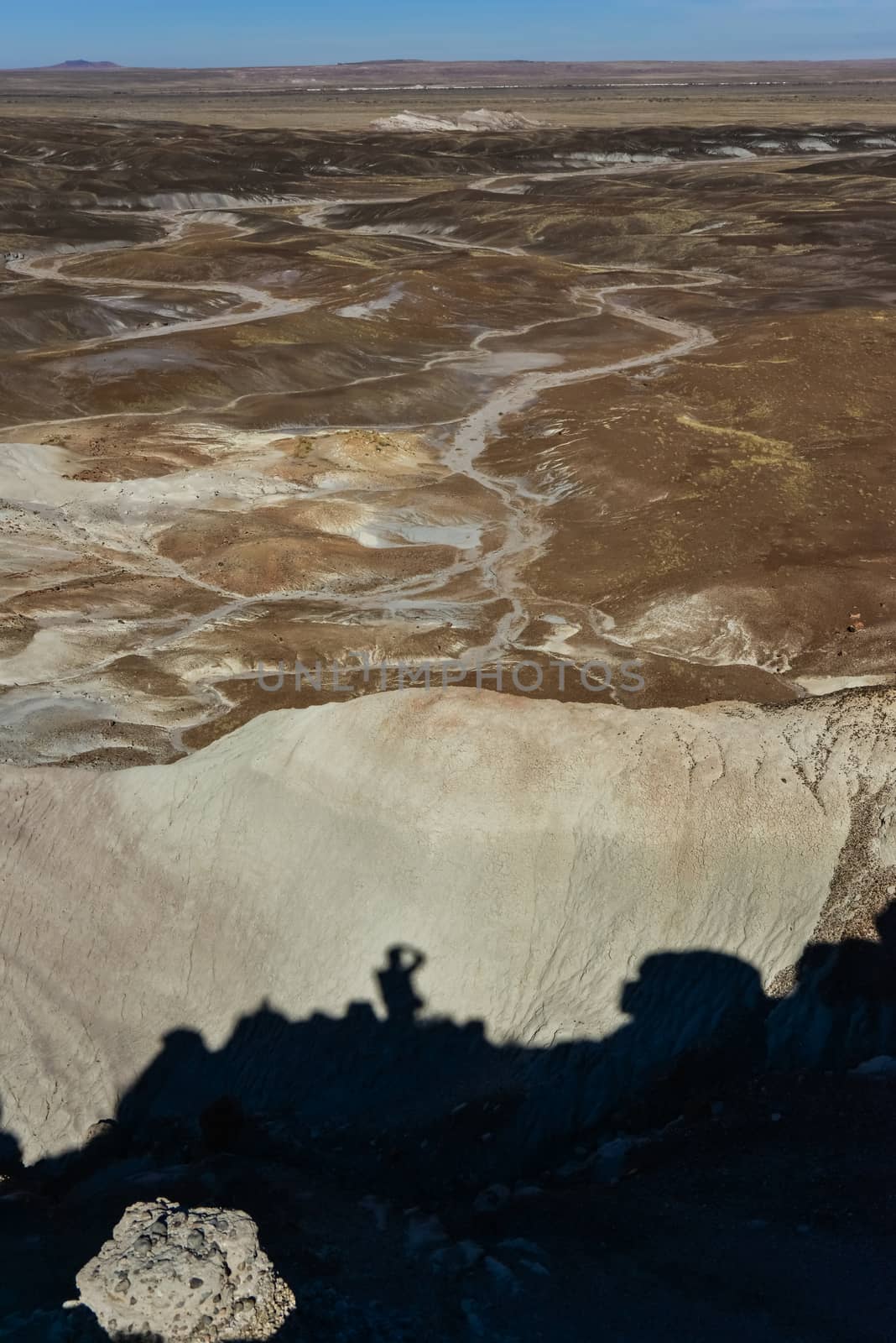 The Painted Desert on a sunny day. Diverse sedimentary rocks and clay washed out by water. Petrified Forest National Park, USA,  Arizona