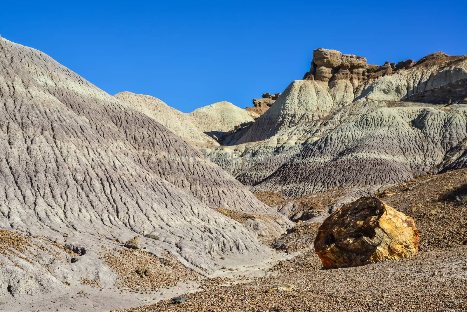 The Painted Desert on a sunny day. Diverse sedimentary rocks and clay washed out by water. Petrified Forest National Park, USA,  Arizona