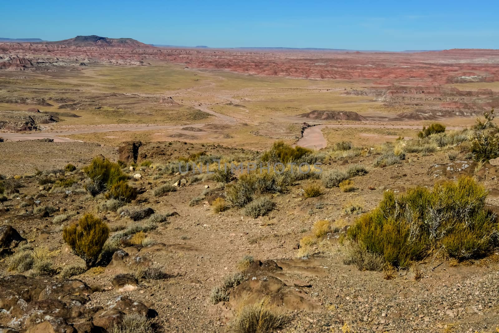 Arizona mountain eroded landscape, Petrified Forest National Wilderness Area and Painted Desert. 