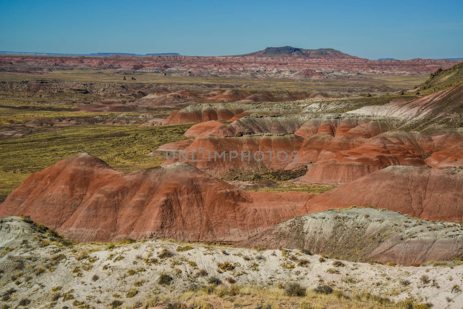 Arizona mountain eroded landscape, Petrified Forest National Wilderness Area and Painted Desert. 