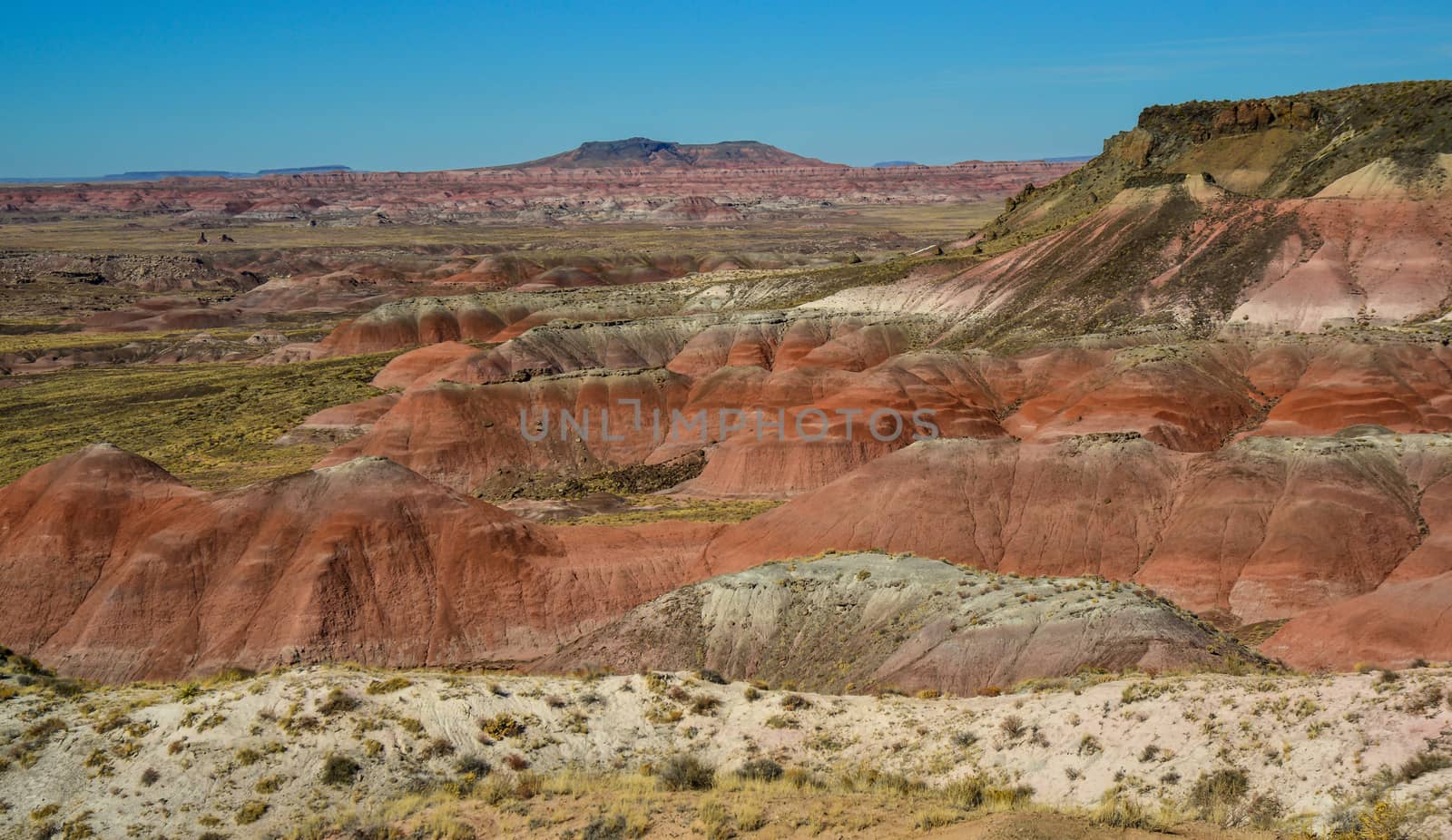 Arizona mountain eroded landscape, Petrified Forest National Wilderness Area and Painted Desert. 