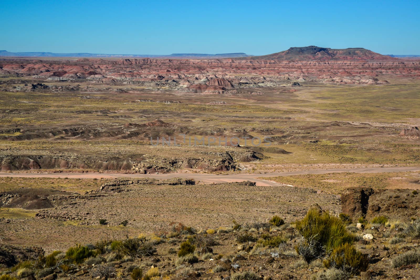 Arizona mountain eroded landscape, Petrified Forest National Wilderness Area and Painted Desert. 