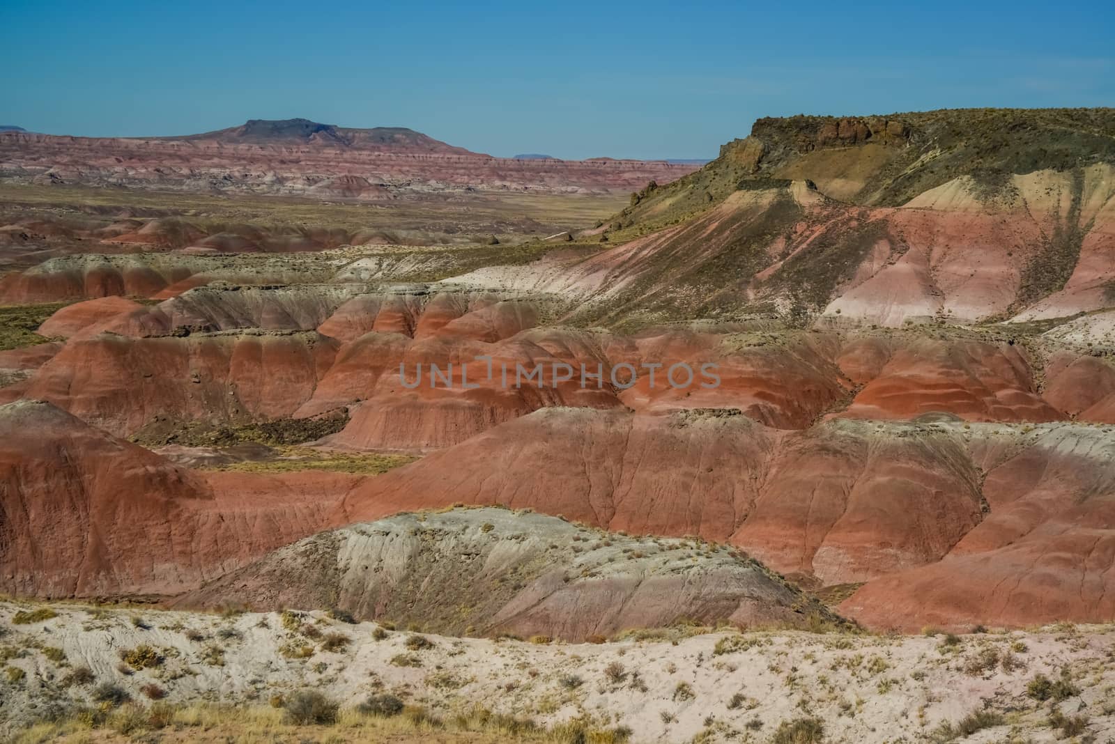 Arizona mountain eroded landscape, Petrified Forest National Wilderness Area and Painted Desert. 