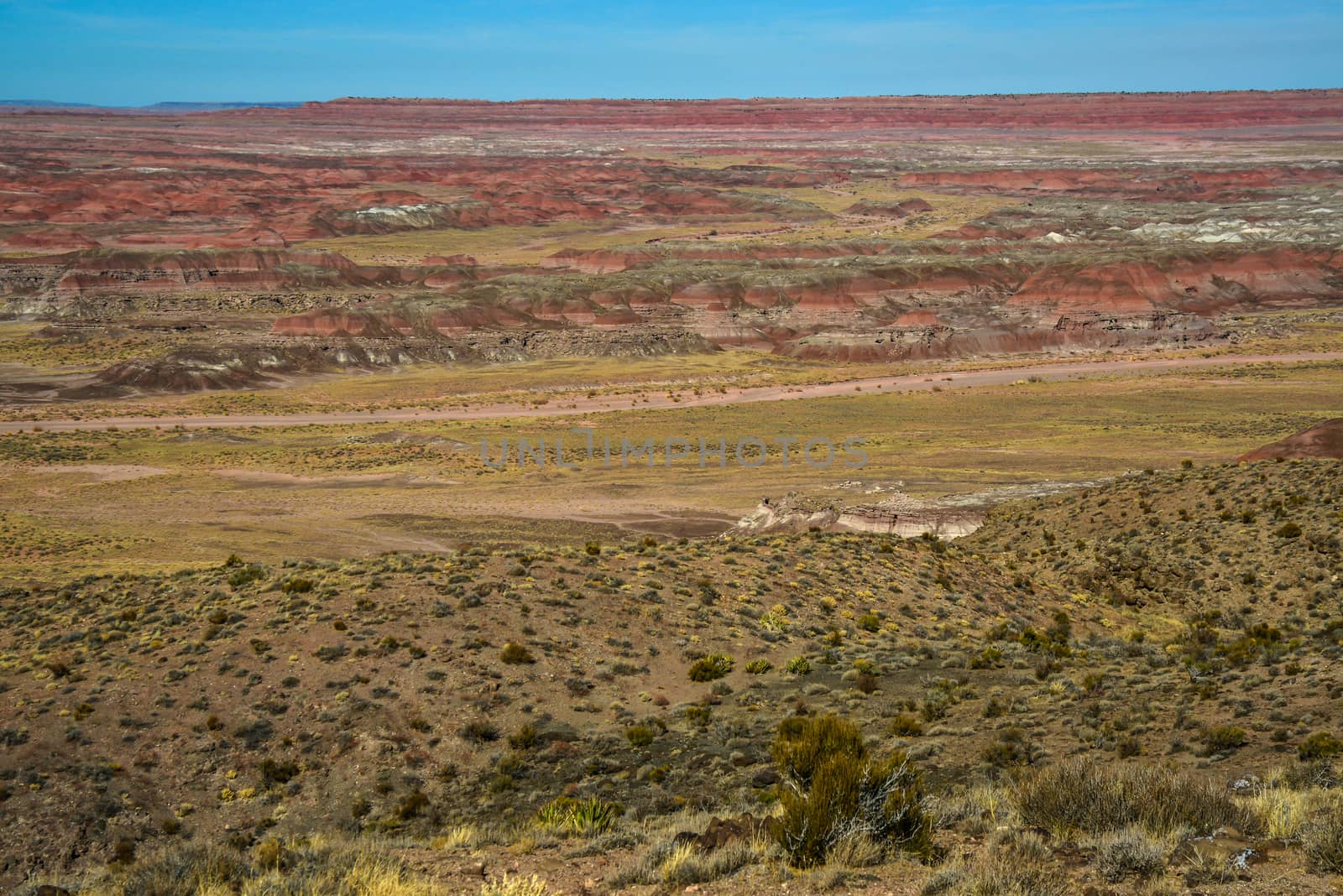 Arizona mountain eroded landscape, Petrified Forest National Wilderness Area and Painted Desert. 