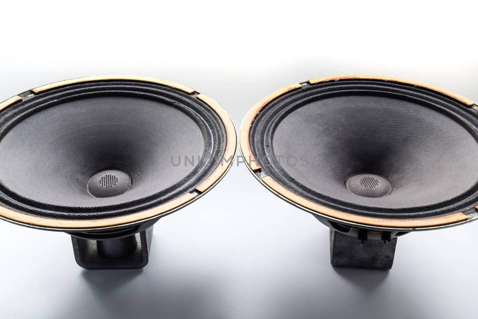 Antique Soviet woofer 5gd-3 from vintage acoustics Symphony.