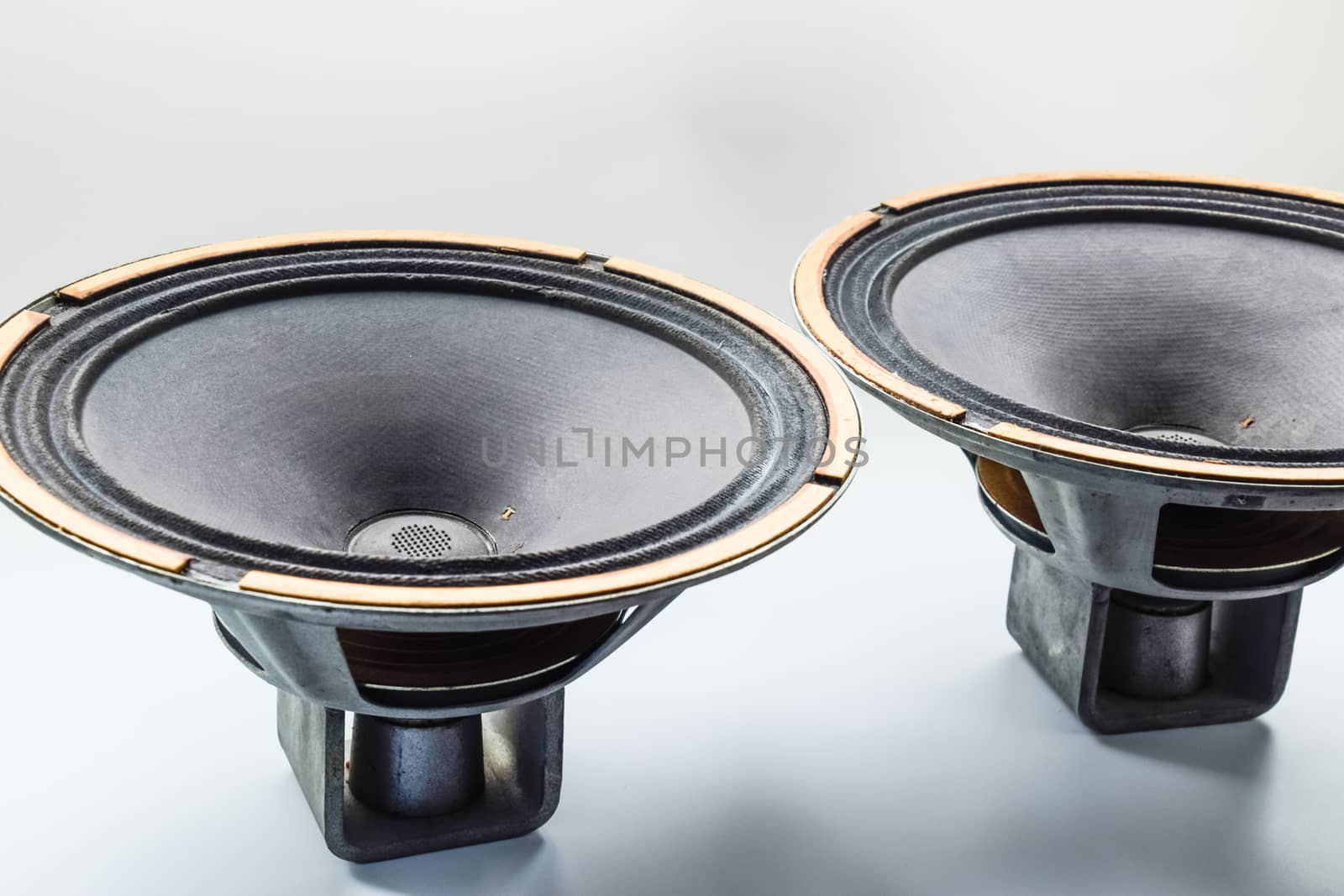 Antique Soviet woofer 5gd-3 from vintage acoustics Symphony.