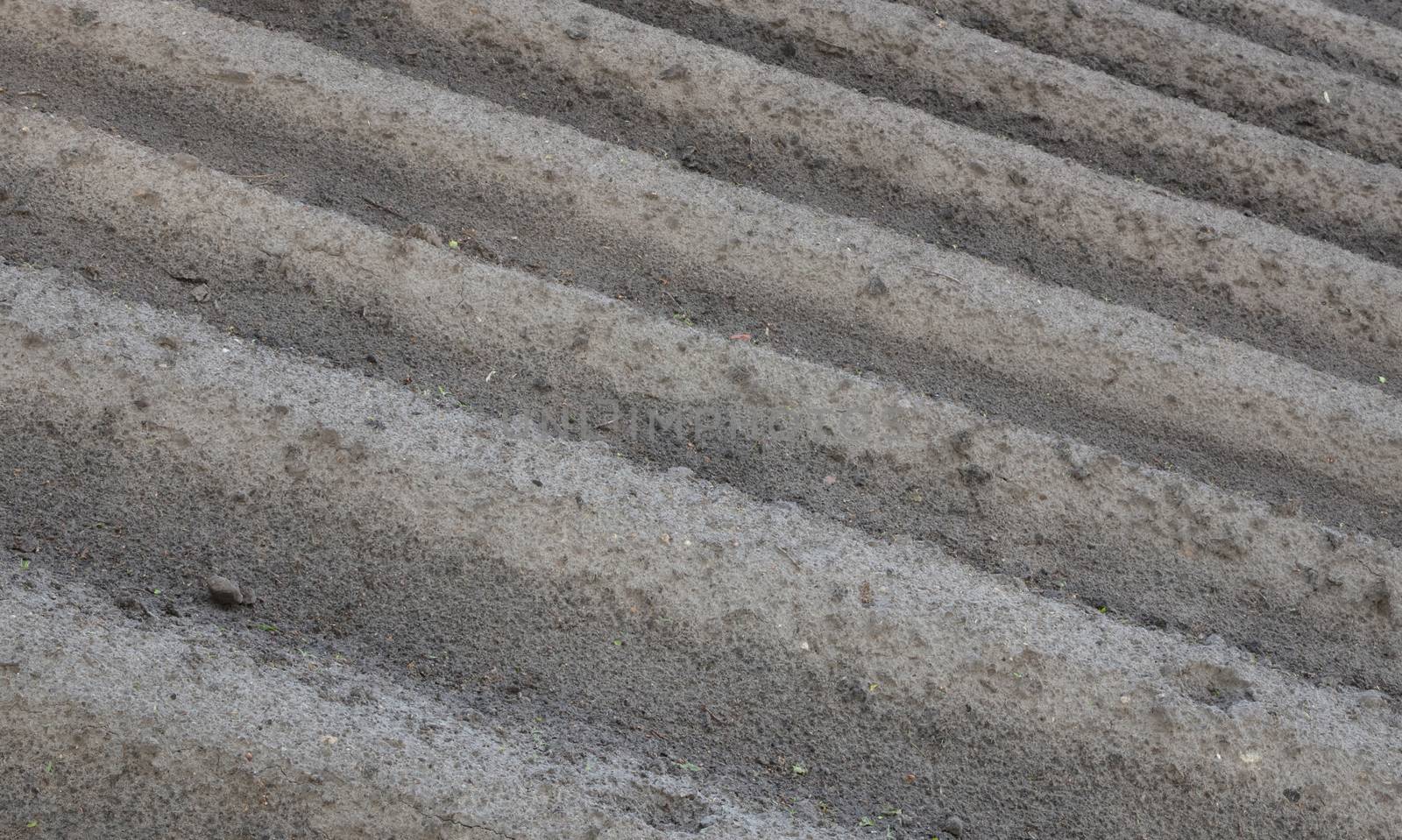 View of agricultural land prepared for sowing, arable soil, the Netherlands