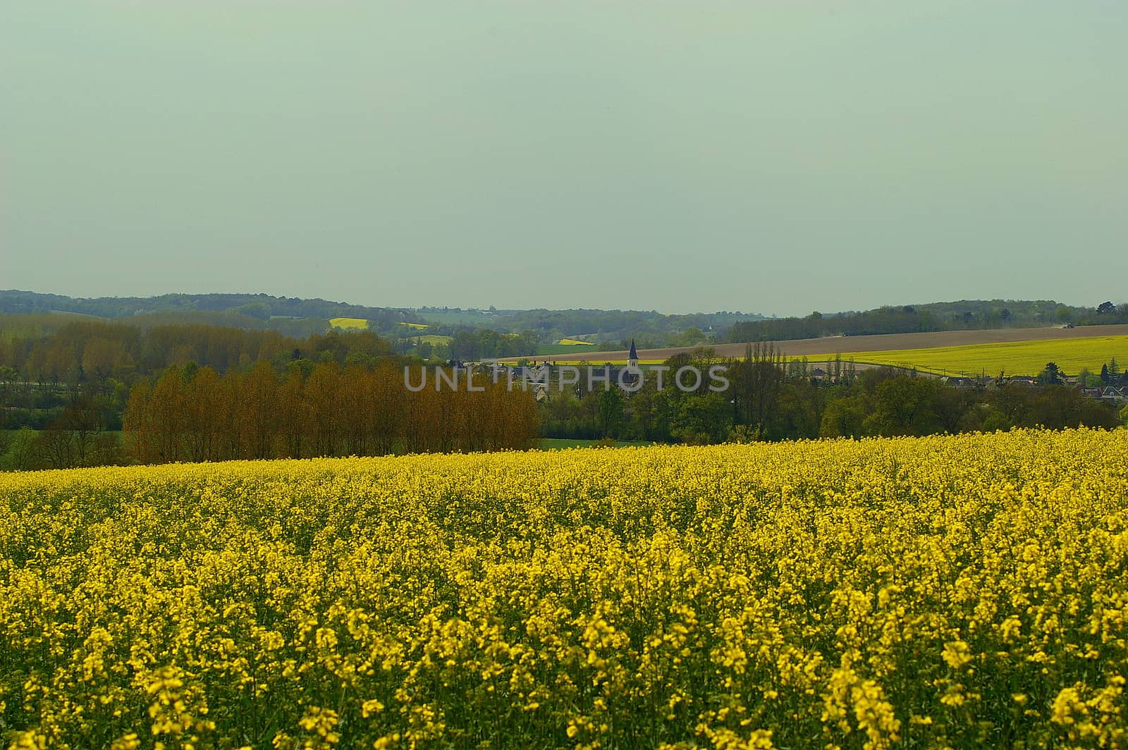 View of rural France in the Indre department