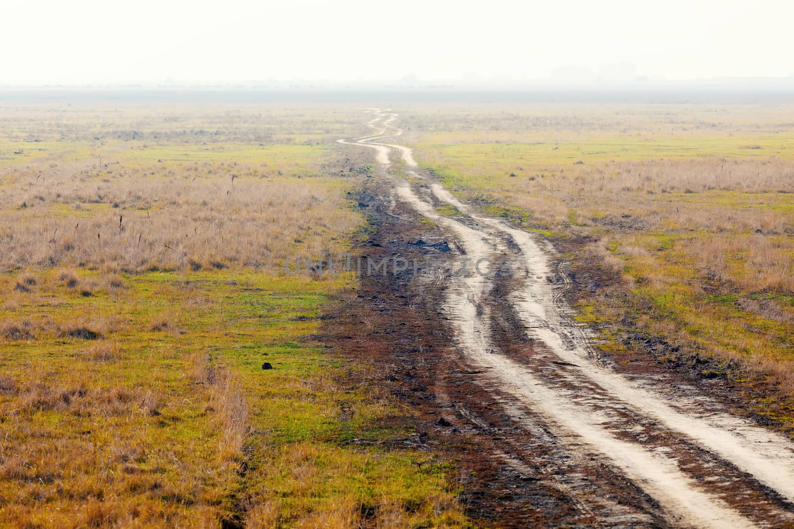 muddy country road to nowhere in misty morning in Hortobagy National Park, Hungary, puszta is famous ecosystems in Europe and UNESCO World Heritage Site