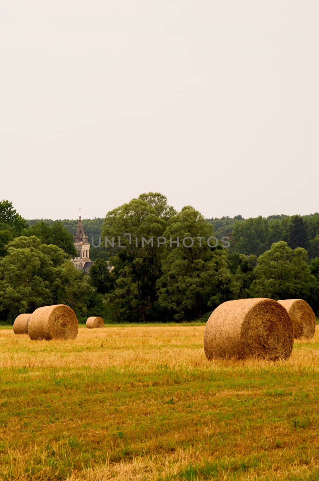 Hay bales waiting to be taken away from the fields in rural France