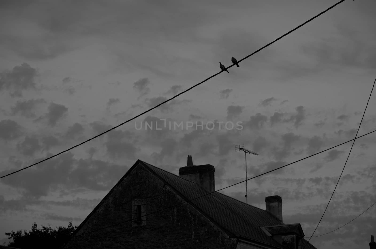 Two birds sitting on a telephone wire in a French village
