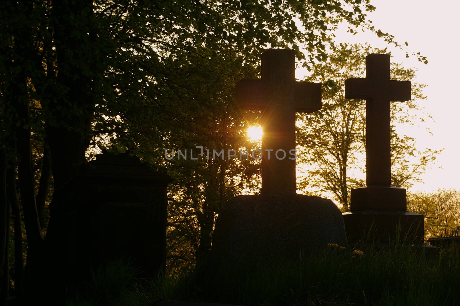 Sunset in the graveyard, Manchester, UK