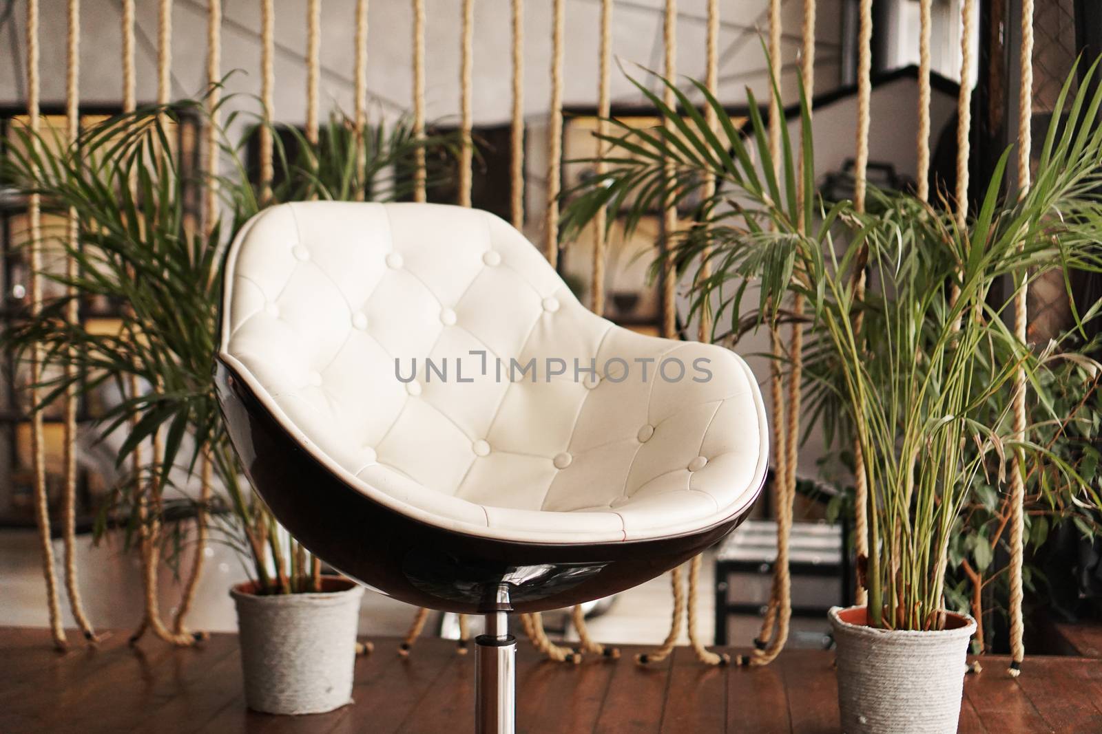 Interior with chair and plant on the background. Place to relax