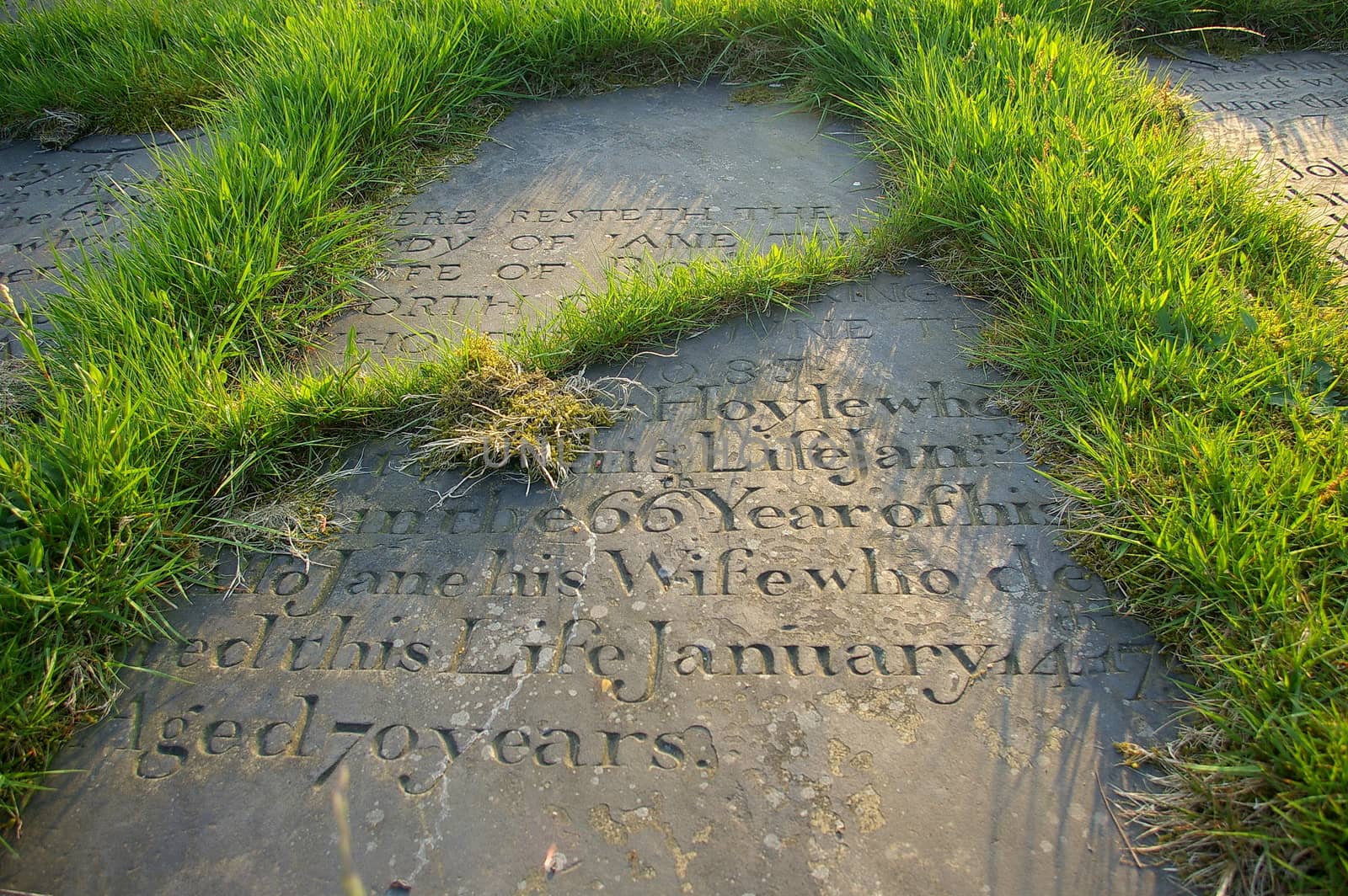 Tombstone embedded in the ground with tufts of grass growing through and around it