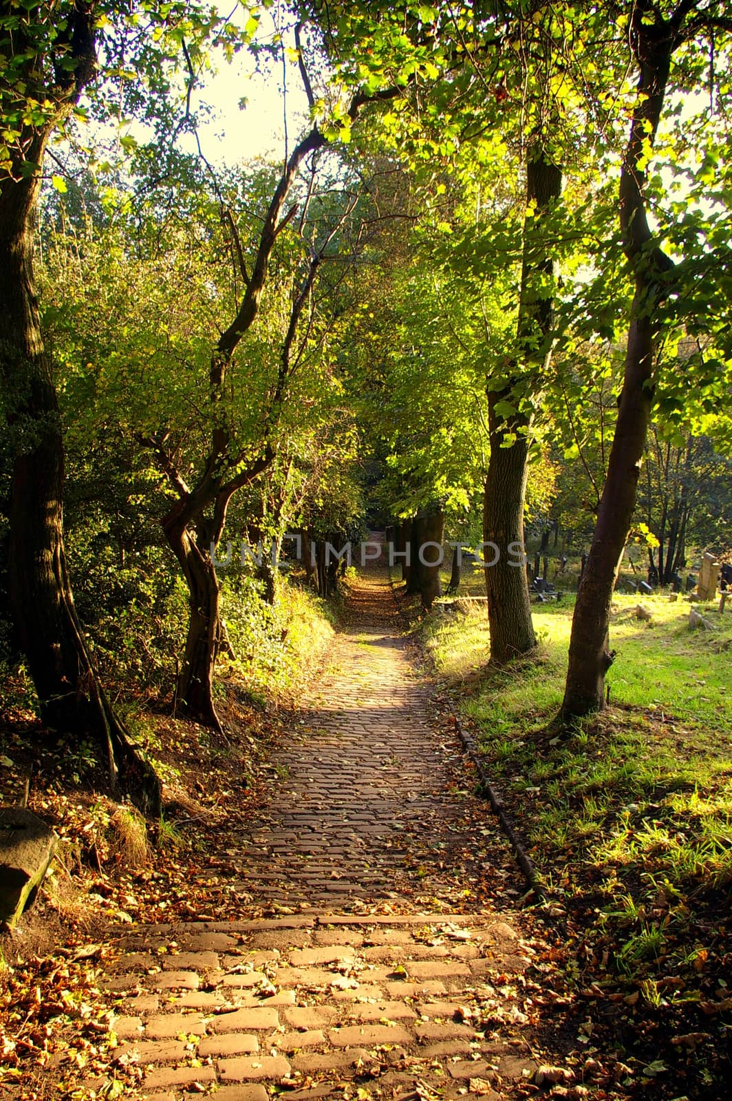 Path leading down from a churchyard, Prestwich, Greater Manchester, UK