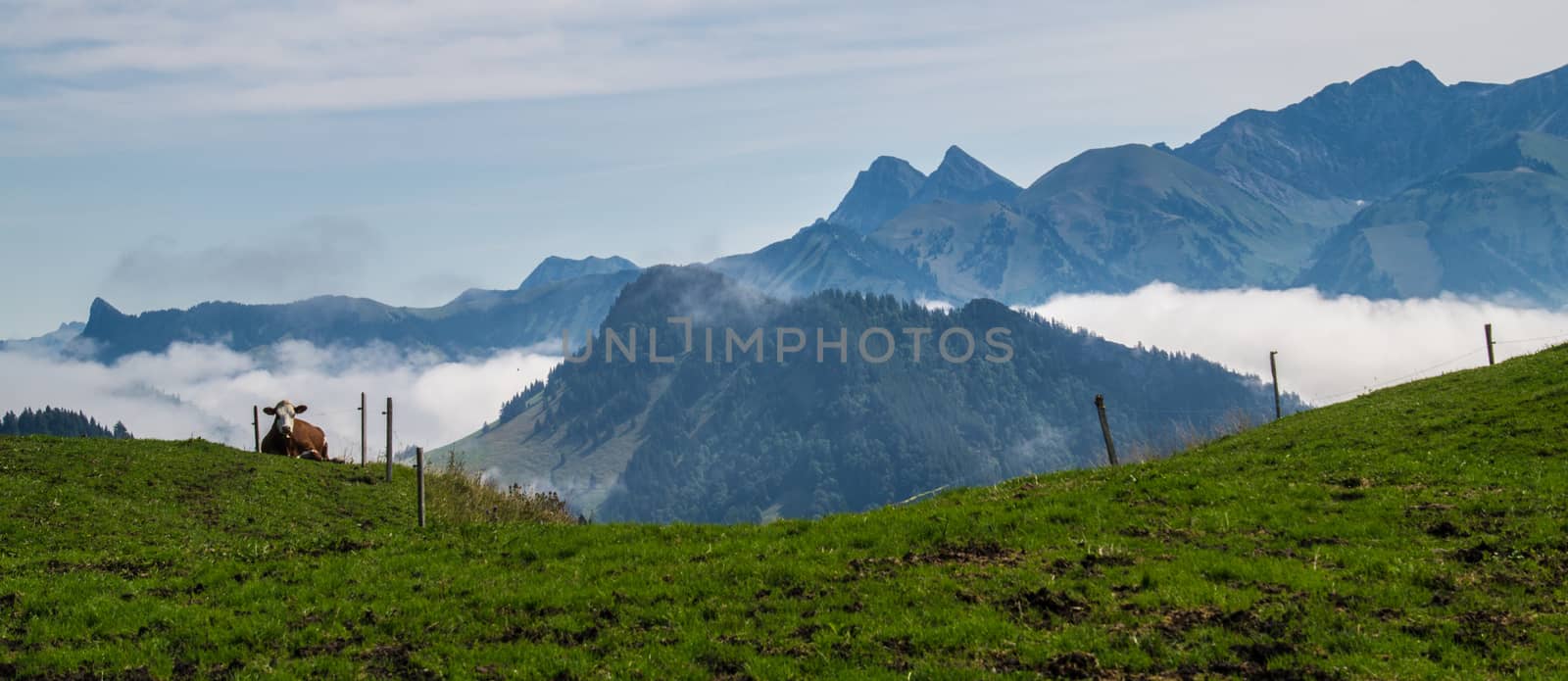 landscape of the Swiss Alps by bertrand