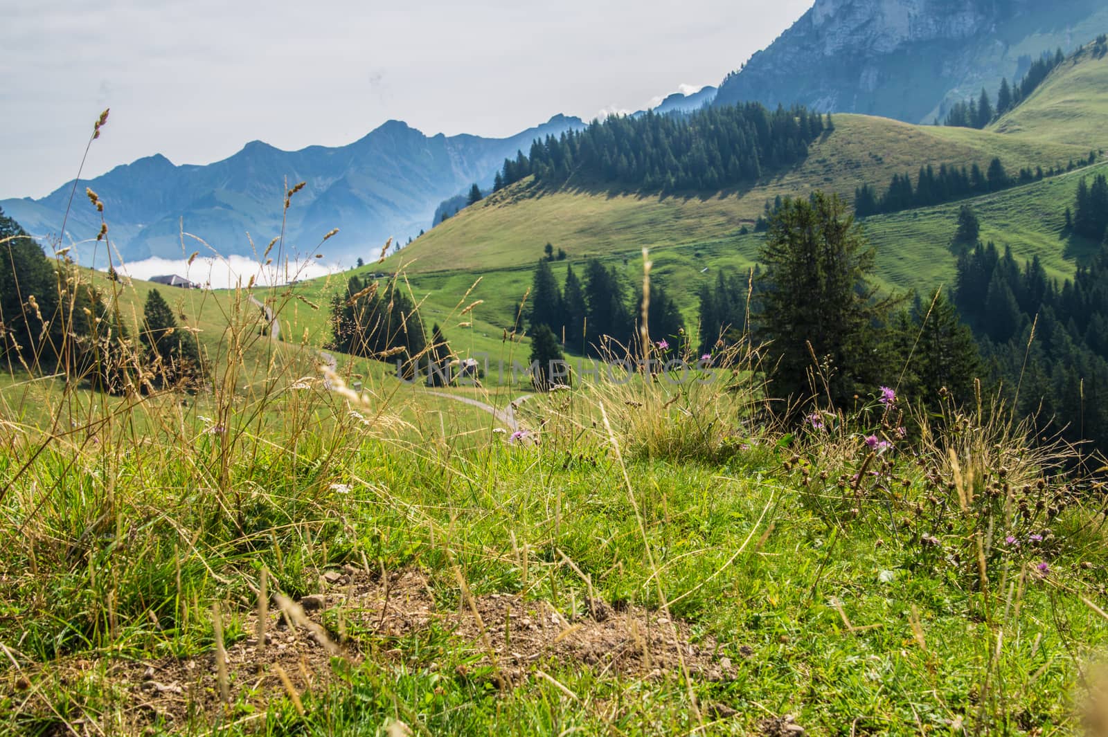 saletta,paccots,chapelle saint denis,swiss