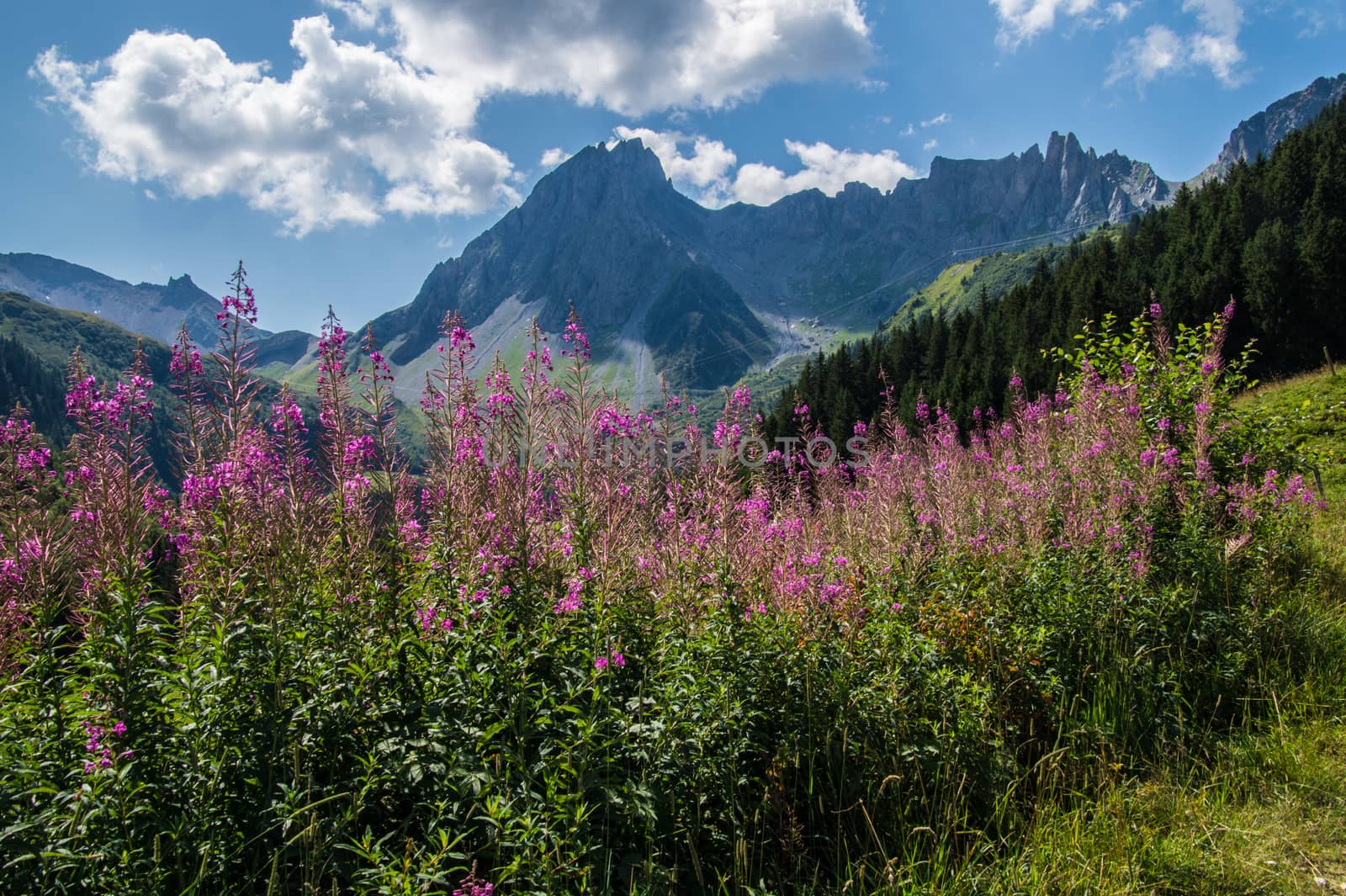 refuge nant borrant,comtamines,haute savoie,france