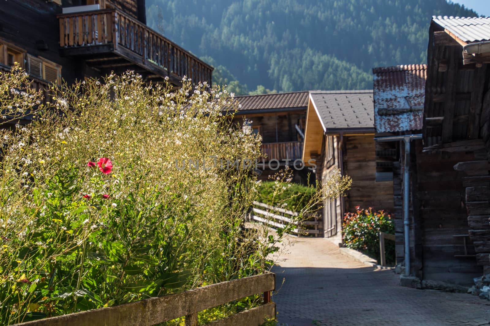ergisch,valais,swiss