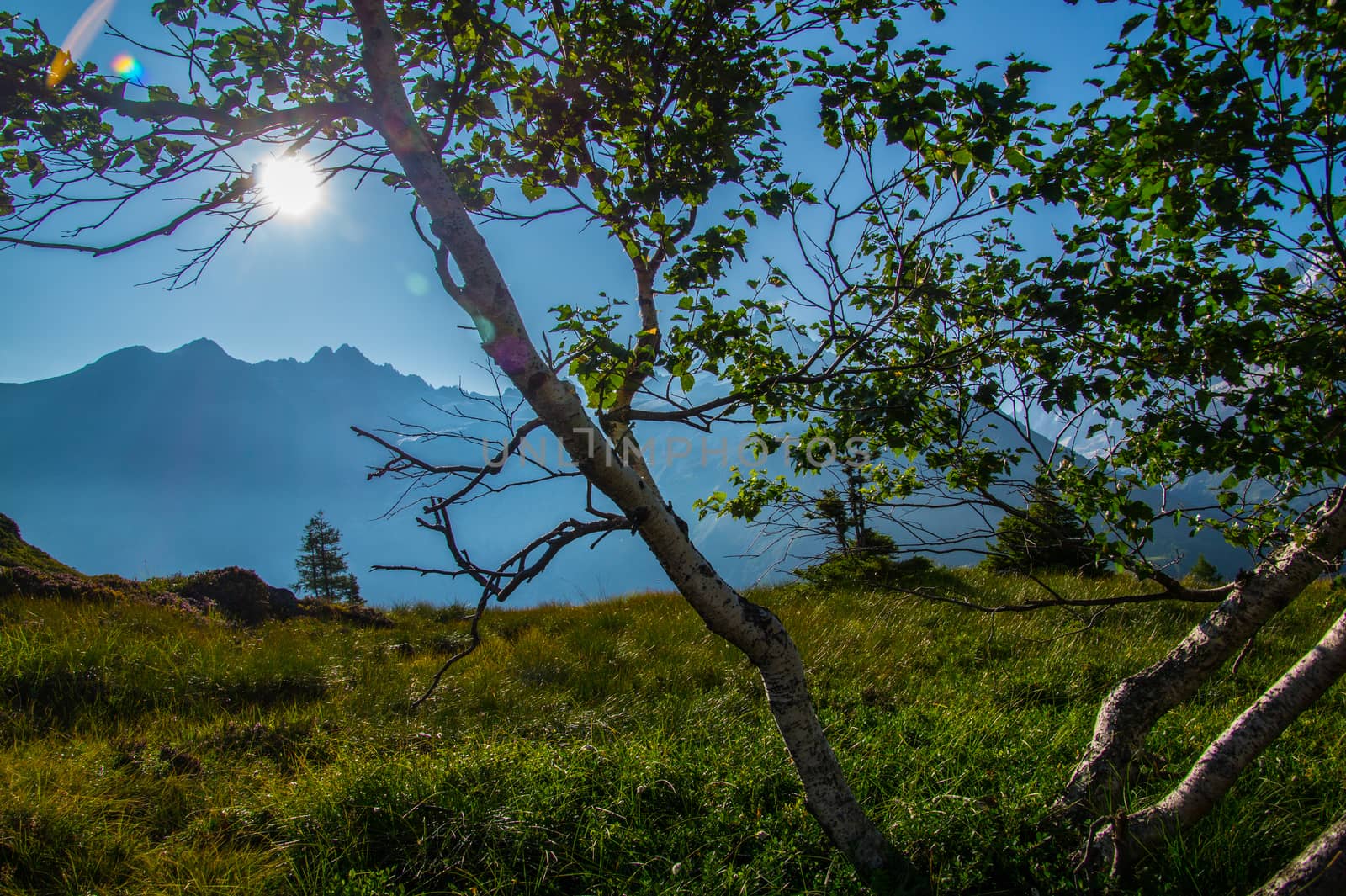 posettesz,chamonix,haute savoie,france
