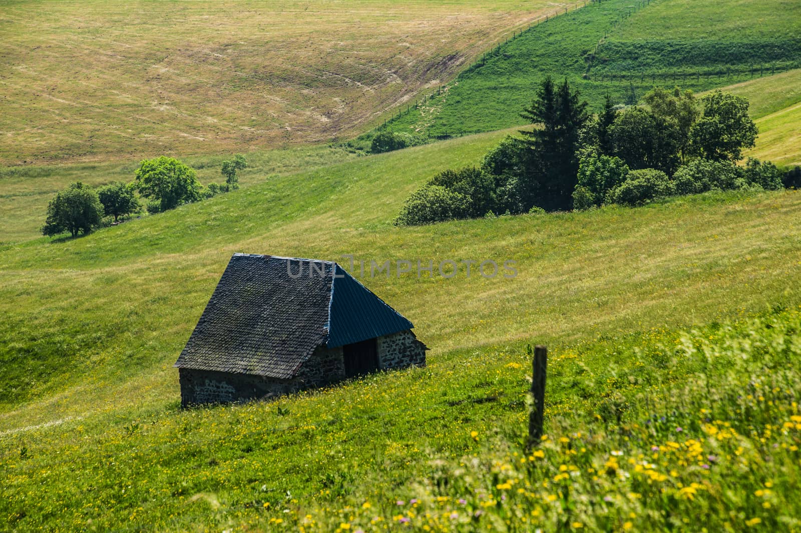 park naturel regional des volcans d'auvergne by bertrand