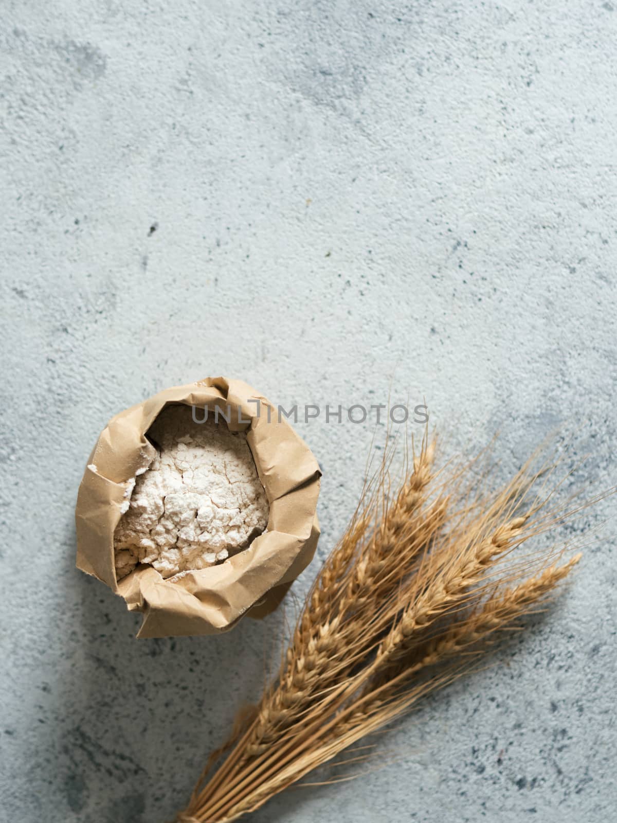 Wheat flour in paper bag and spikes over gray cement background. Food and baking ingredient - all-purpose flour with copy space, vertical