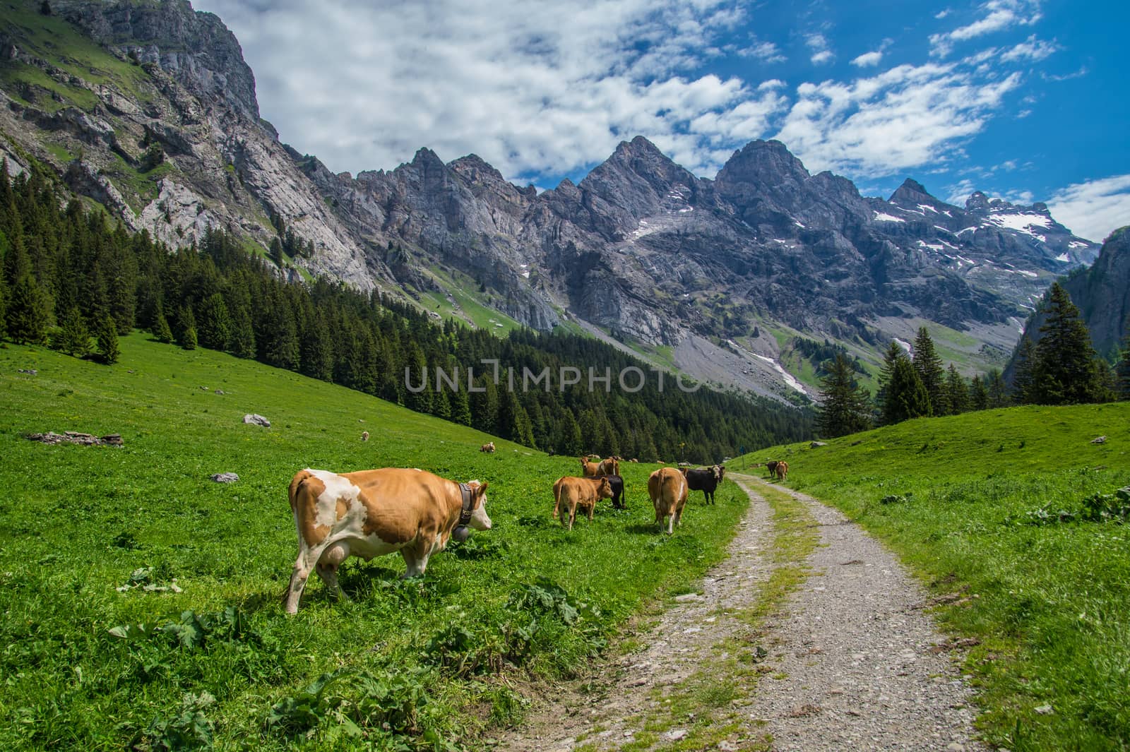 solalex,vaud,swiss