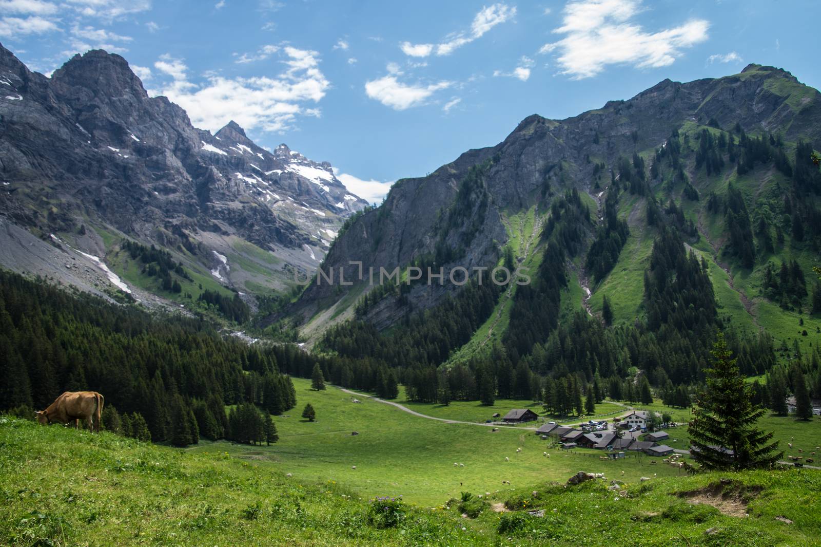 solalex,vaud,swiss