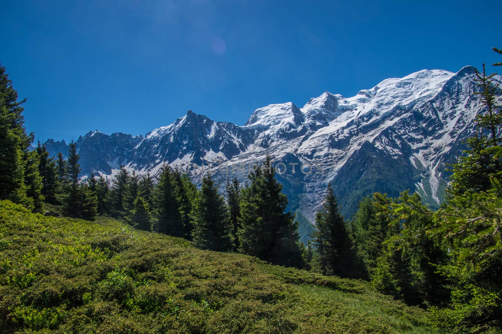 chalets of chailloux,chamonix,haute savoie,france