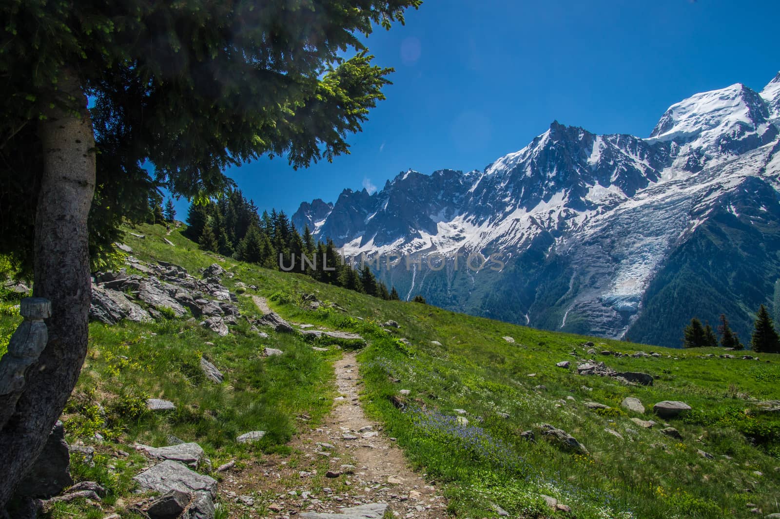 chalets of chailloux,chamonix,haute savoie,france