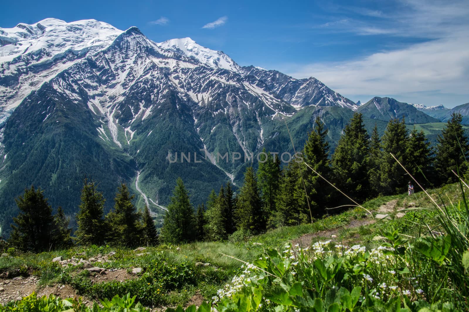 chalets of chailloux,chamonix,haute savoie,france
