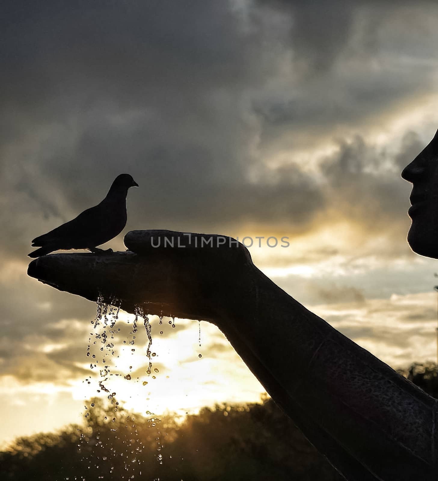 A dove sits on the arms of a statue on a sunset background.