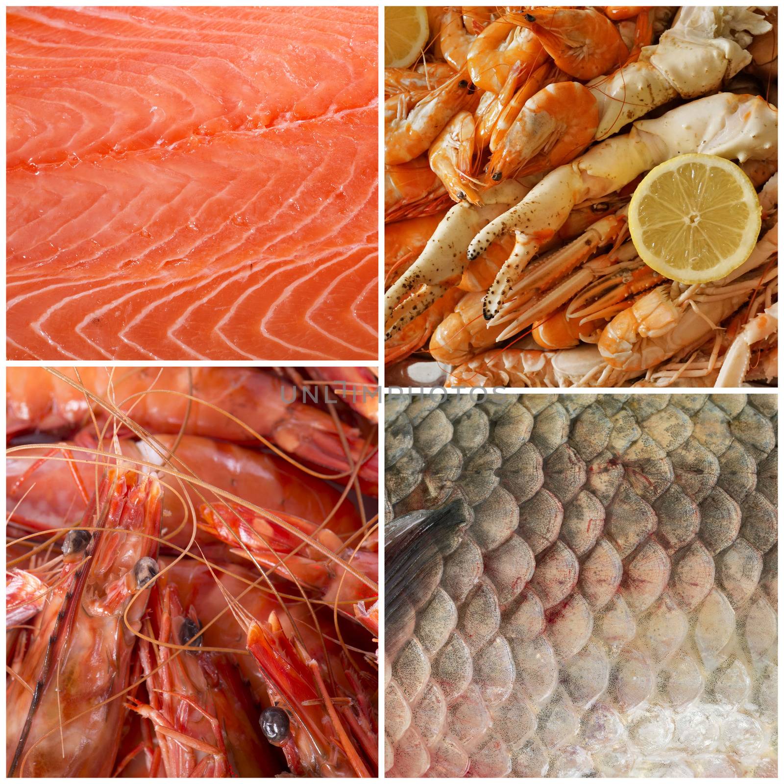 composite picture of seafood in front of white background