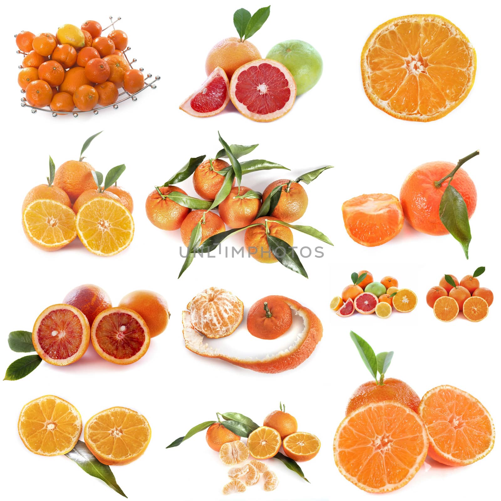 composite picture of citrus fruits in front of white background