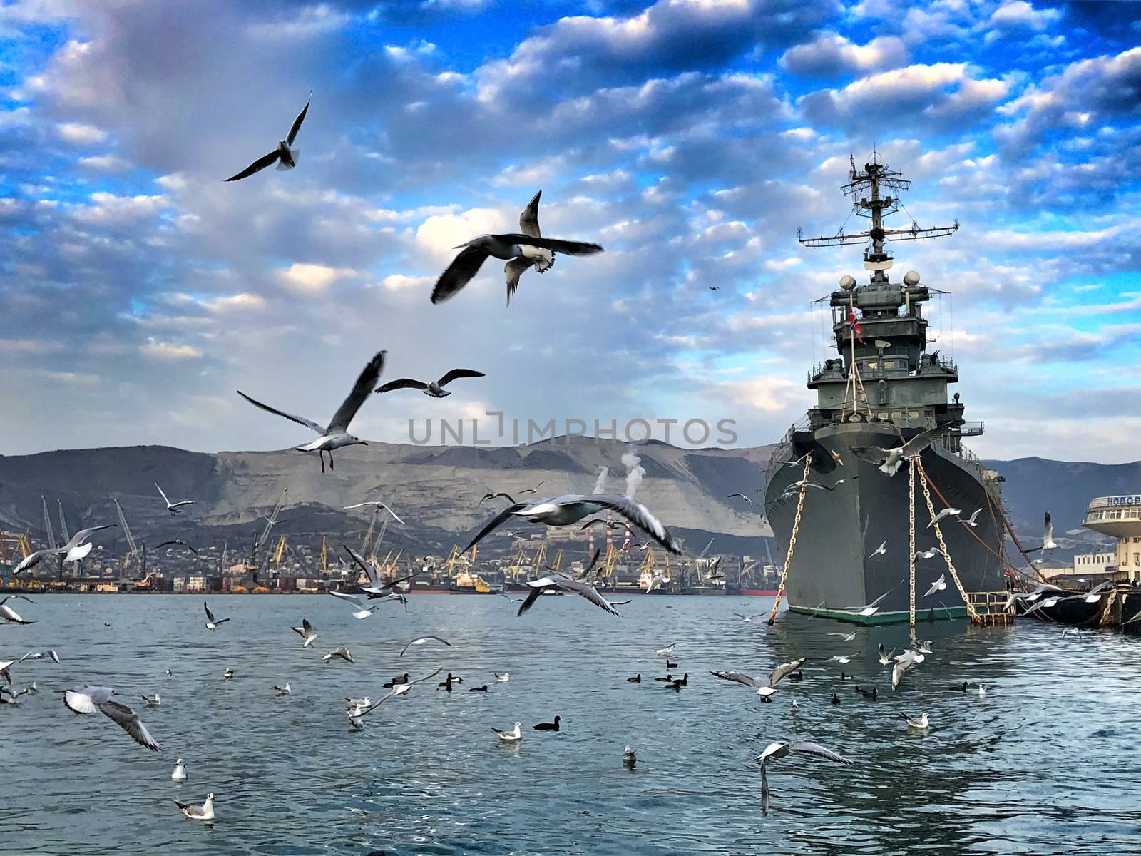 Seagulls in the port of Novorossiysk near the ship of the cruiser Mikhail Kutuzov.