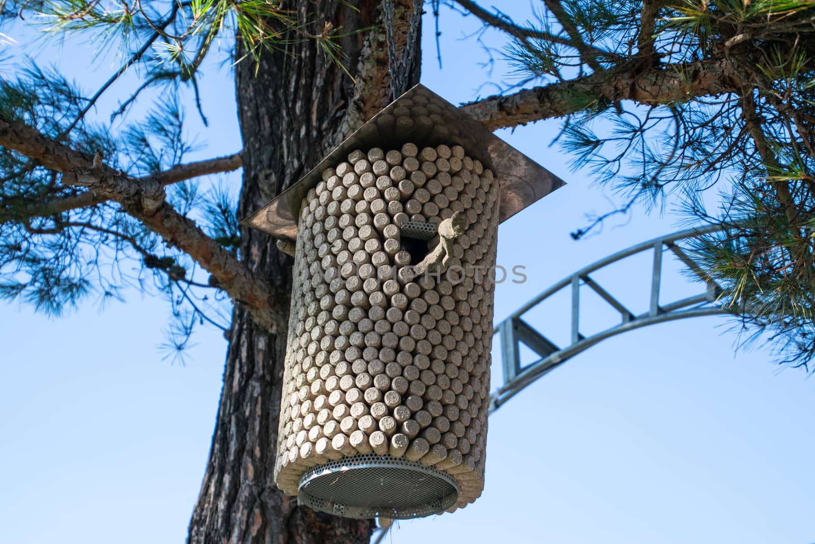 Birdhouse made from corks from wine bottles. Birdhouse on a pine tree.