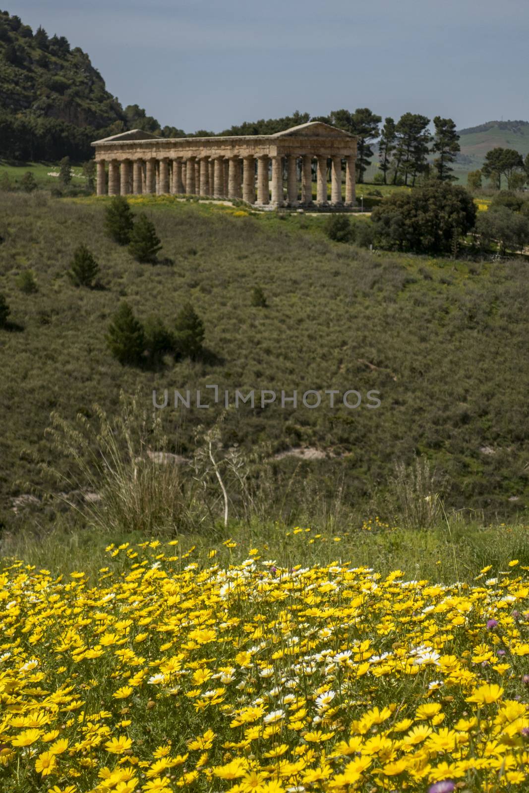 ancient roman temple in segesta in sicily by bernjuer