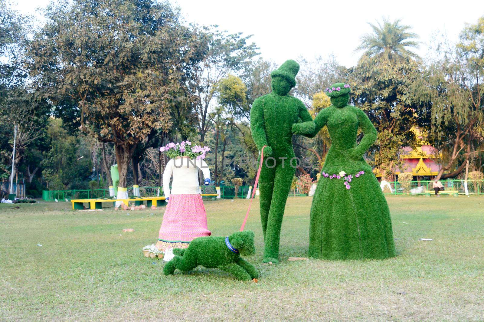 Beautiful Green Topiary art crafted design element representing Happy Couple by clipping pruning twigs and foliage in amazing shape and fanciful hedges. Eden Garden City Park Kolkata May 2019 by sudiptabhowmick