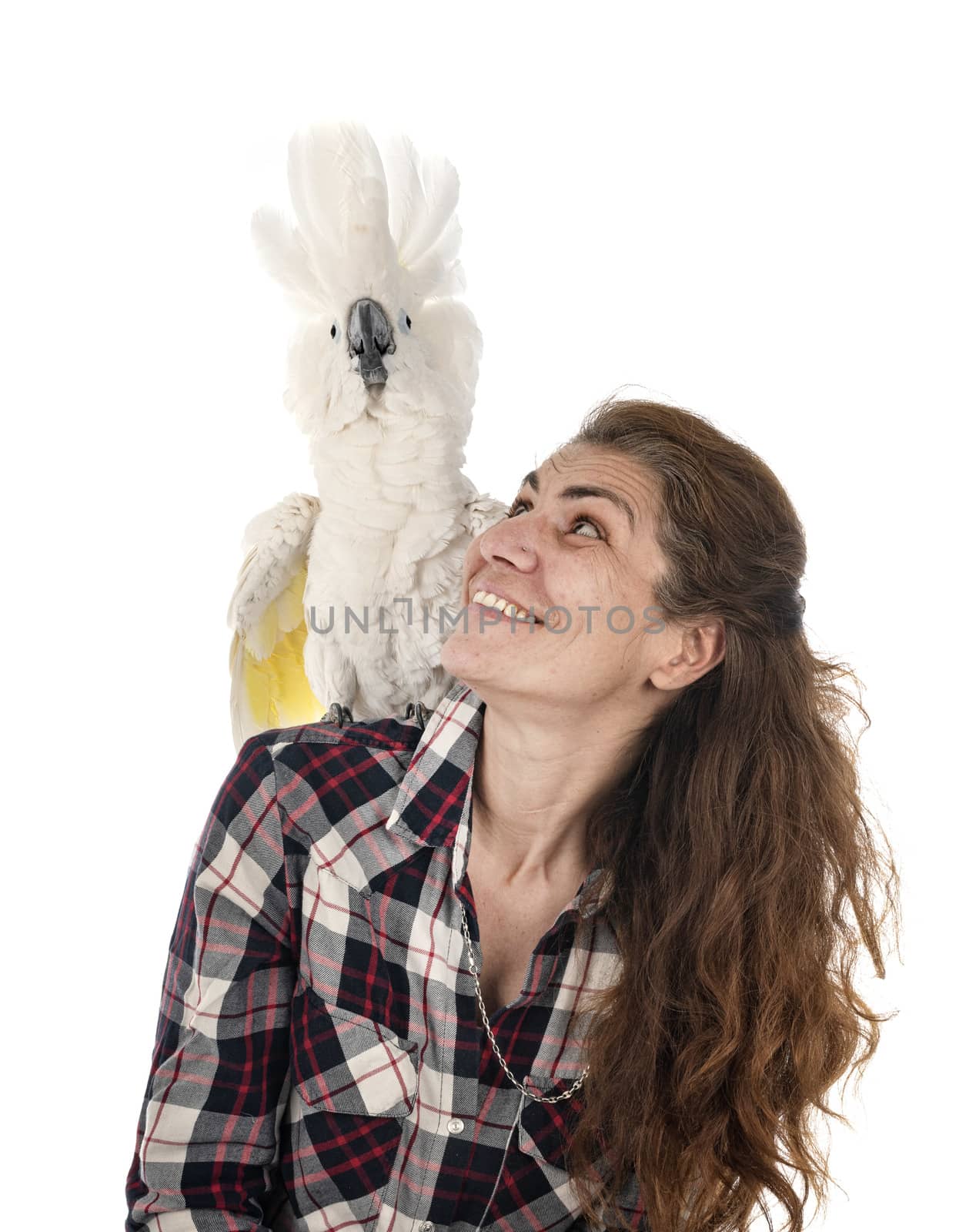 cockatoo and woman in front of white background
