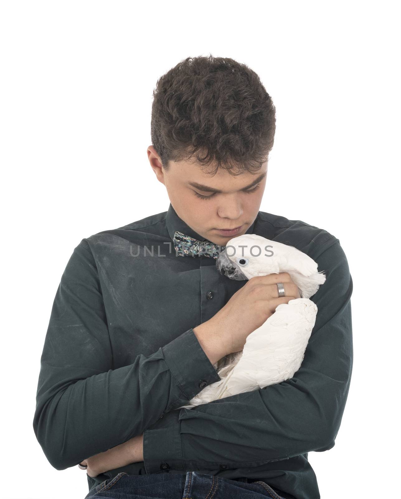 cockatoo and teen in front of white background