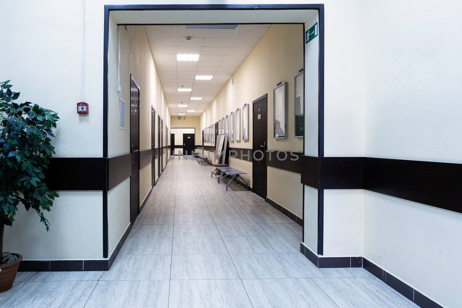 empty corridor in the modern office building. There are many brown doors along a very long corridor with beige walls.