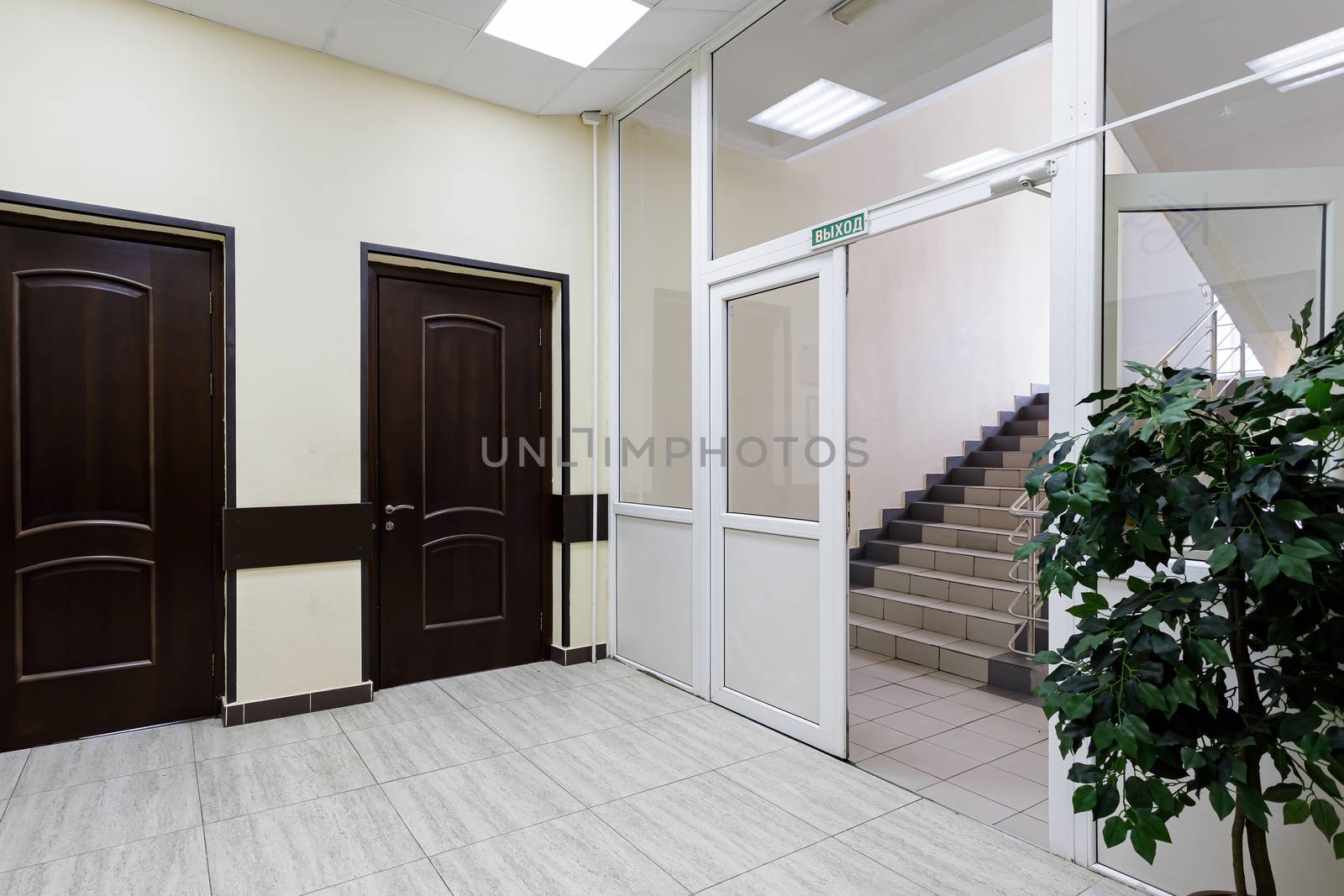 An empty corridor in a modern office building. A hall with light walls and brown doors.