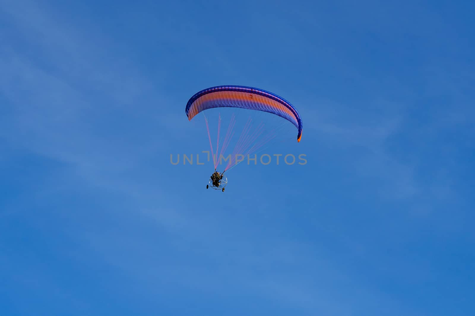 paraglider with a red-blue parachute flies against a cloudless blue sky