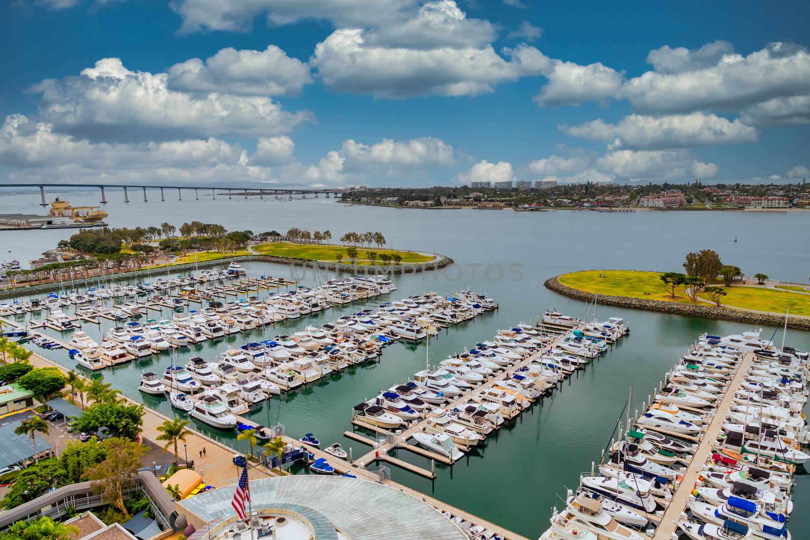 Many yachts in a marina in San Diego