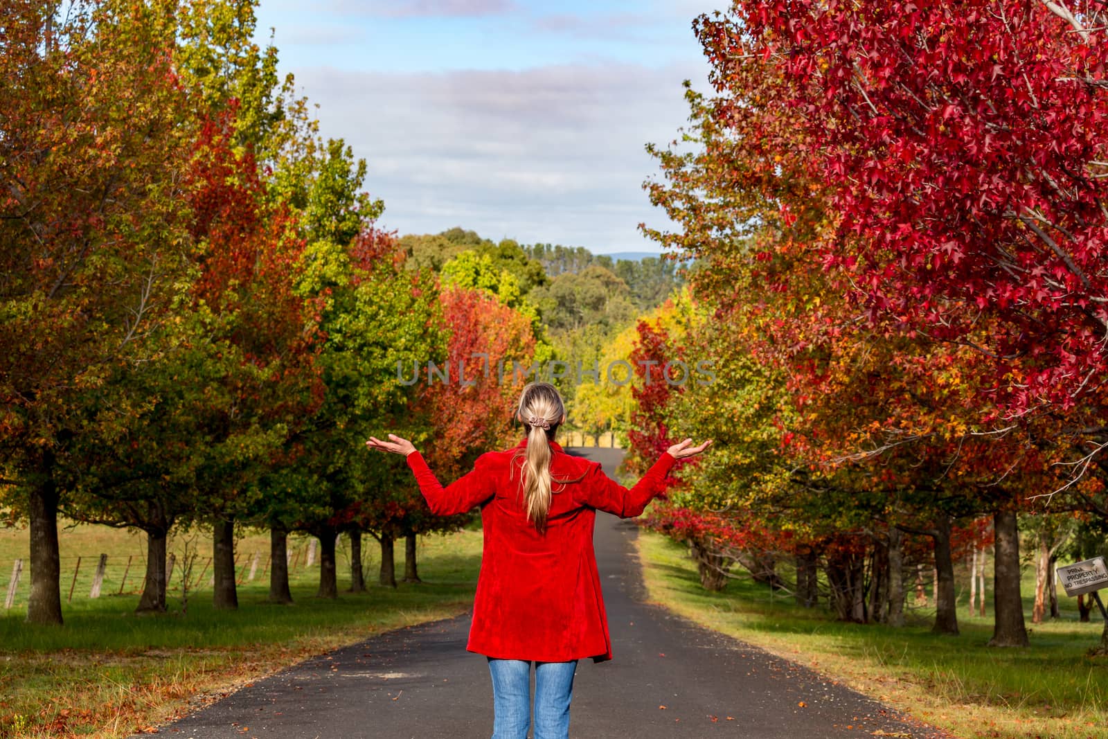 The magic of Autumn.  a woman stands among rows of deciduous trees in Autumn